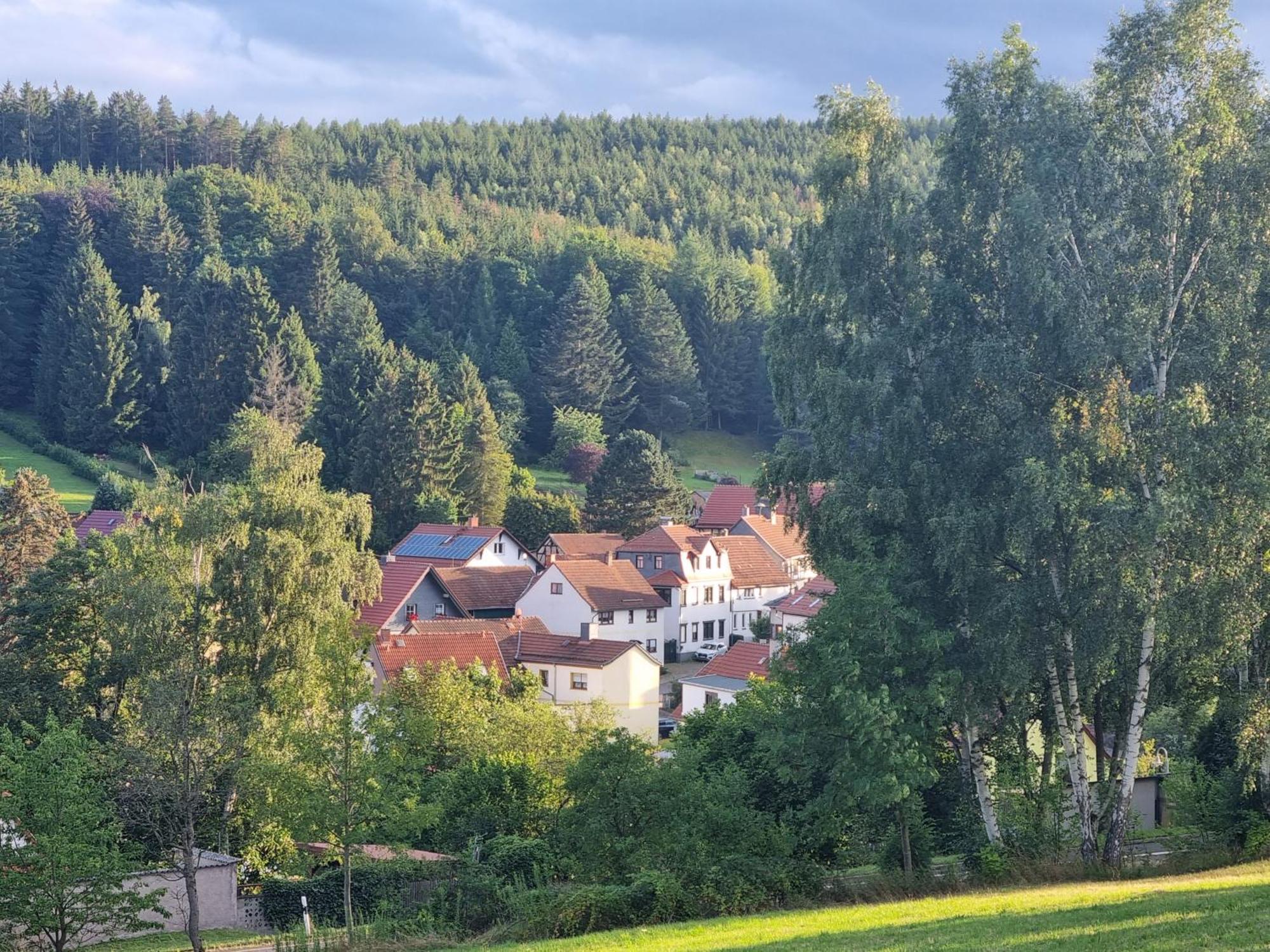Superior - Ferienhaus Am Engelsbach Im Thueringer Wald Exterior foto